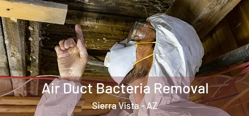 Air Duct Bacteria Removal Sierra Vista - AZ