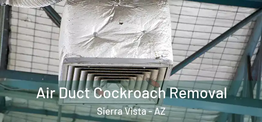 Air Duct Cockroach Removal Sierra Vista - AZ