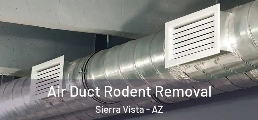 Air Duct Rodent Removal Sierra Vista - AZ