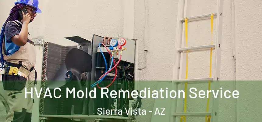 HVAC Mold Remediation Service Sierra Vista - AZ