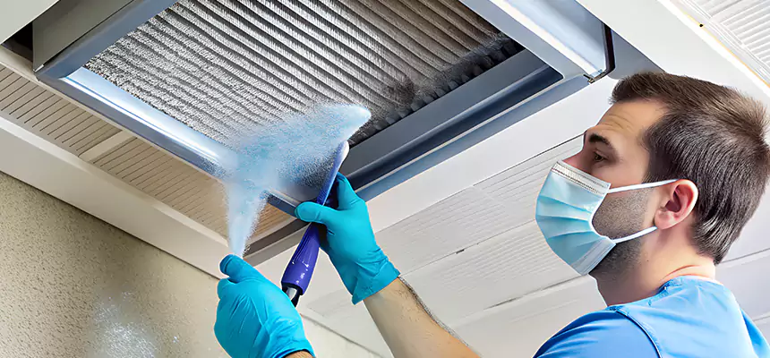 Proactive Dryer Vent & Auxiliary Duct Pollen Cleanup in Sierra Vista, AZ