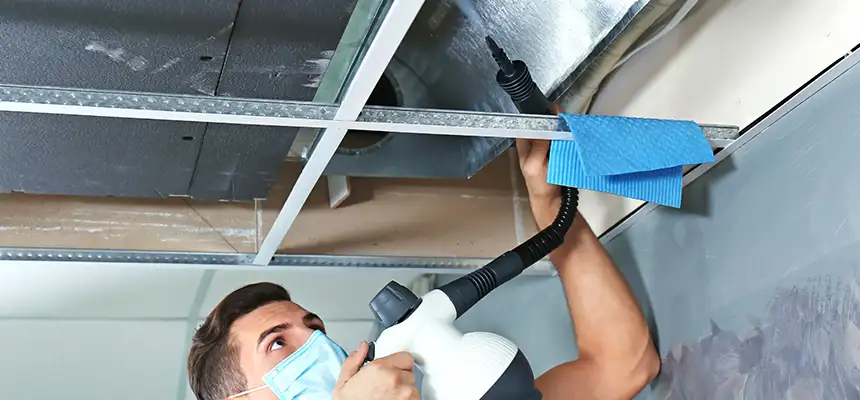 Our Air Duct Rodent Removal Services in Sierra Vista, AZ