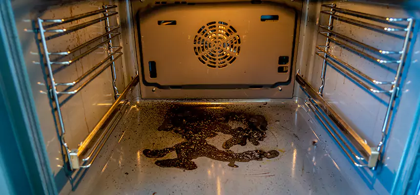 Our Dryer Vent Mold Cleaning Services in Sierra Vista, AZ