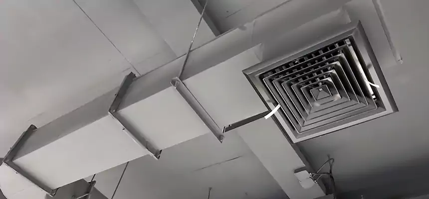 Our Pest Removal From Ducts Services in Sierra Vista, AZ