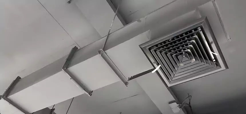 Our Rodent Droppings In Vents Services in Sierra Vista, AZ