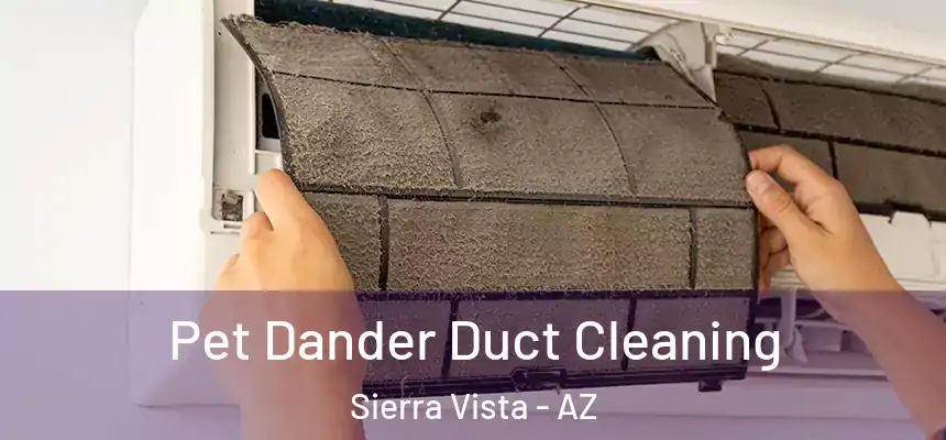 Pet Dander Duct Cleaning Sierra Vista - AZ