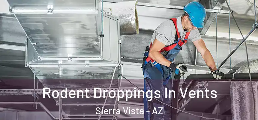 Rodent Droppings In Vents Sierra Vista - AZ