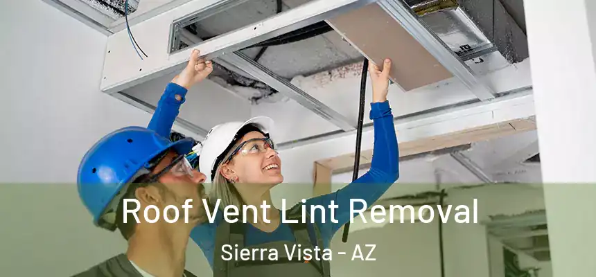Roof Vent Lint Removal Sierra Vista - AZ