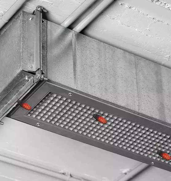 About Air Duct Cockroach Removal in Sierra Vista, AZ