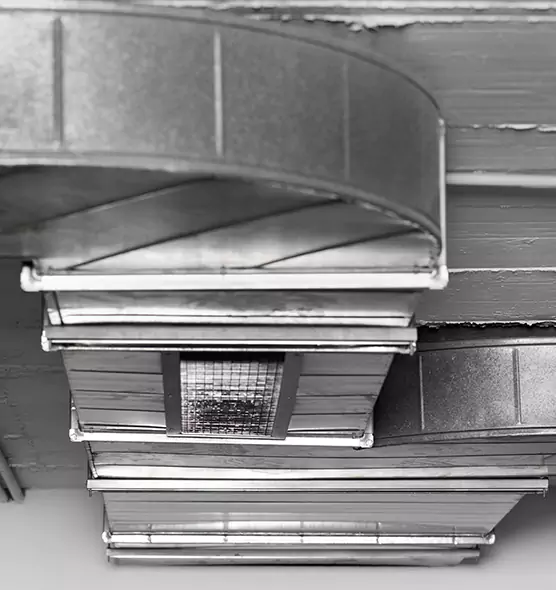 Professional Air Duct Pet Hair Removal in Sierra Vista, AZ