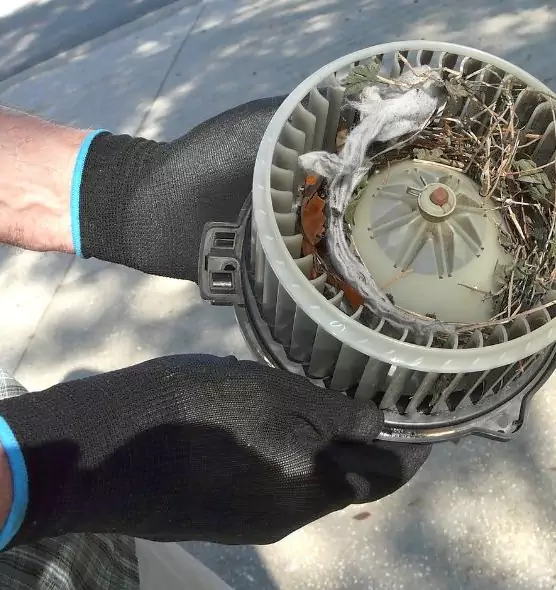 About Air Duct Rat Removal in Sierra Vista, AZ