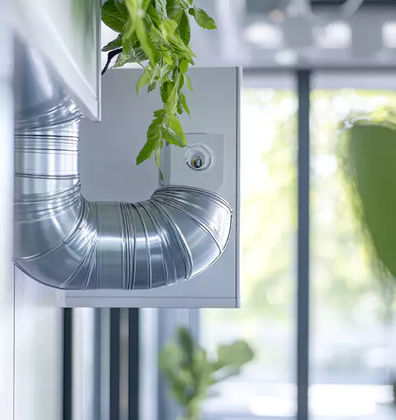 Professional Eco-Safe Dryer Vent Cleaning in Sierra Vista, AZ