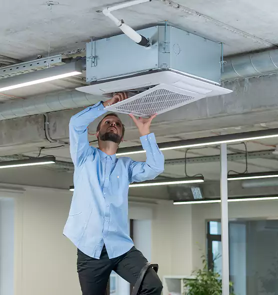 Advanced Rodent Droppings In Vents in Sierra Vista, AZ