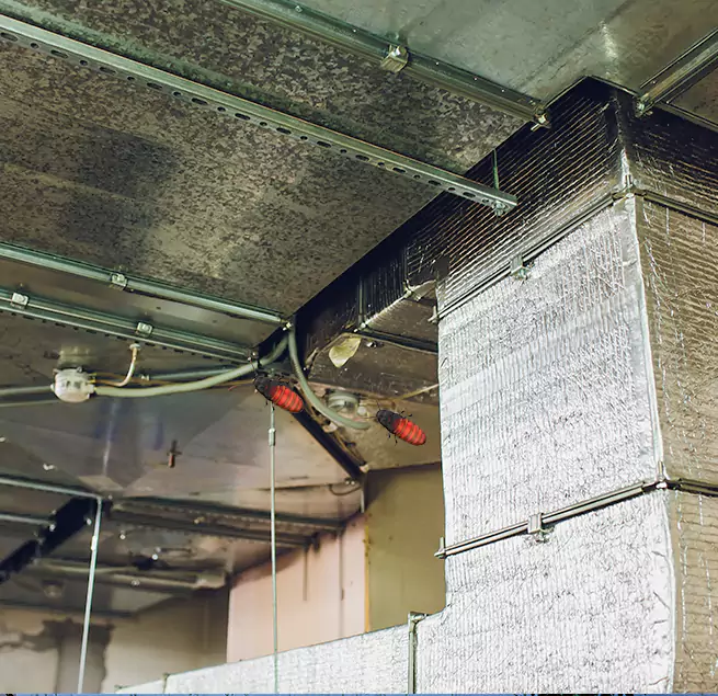 Why Homeowners & Businesses Trust Us in Sierra Vista, AZ?