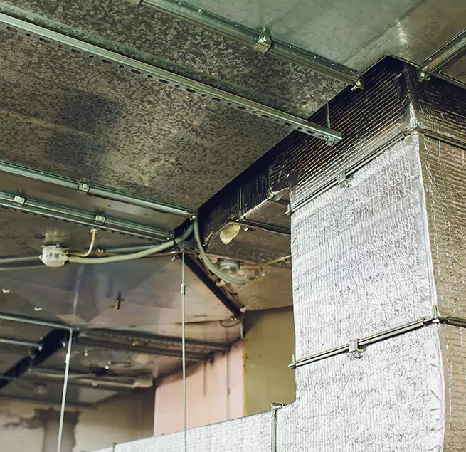 Why Homeowners & Businesses Trust Us in Sierra Vista, AZ?